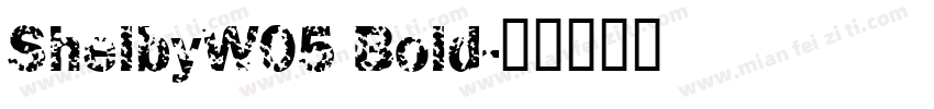 ShelbyW05 Bold字体转换